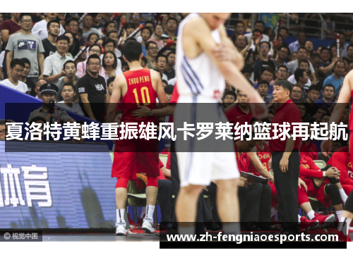 夏洛特黄蜂重振雄风卡罗莱纳篮球再起航