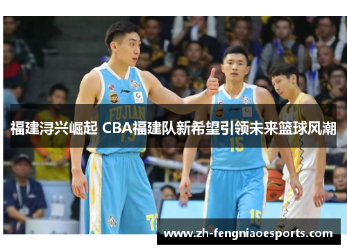 福建浔兴崛起 CBA福建队新希望引领未来篮球风潮